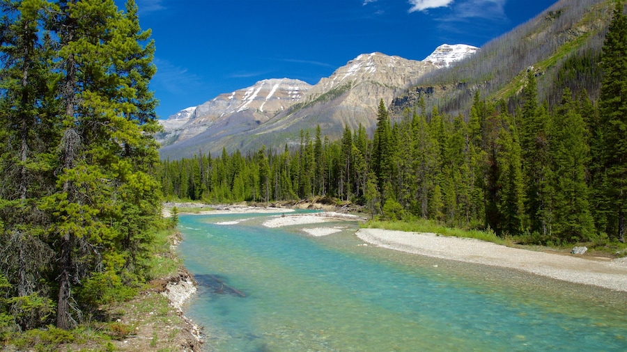 Kootenay National Park que incluye escenas tranquilas, un río o arroyo y montañas