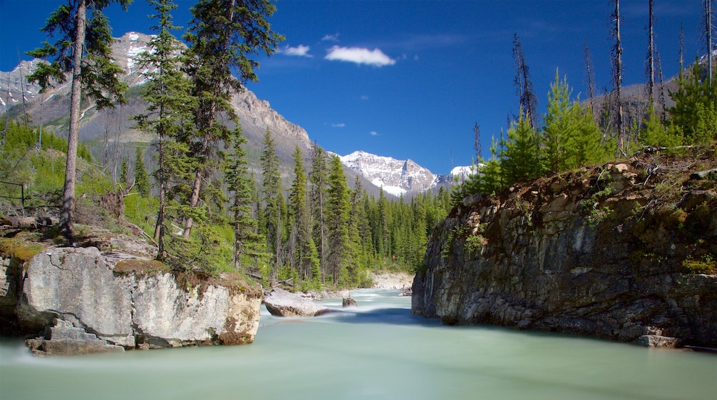 Kootenay National Park mostrando un río o arroyo y situaciones tranquilas