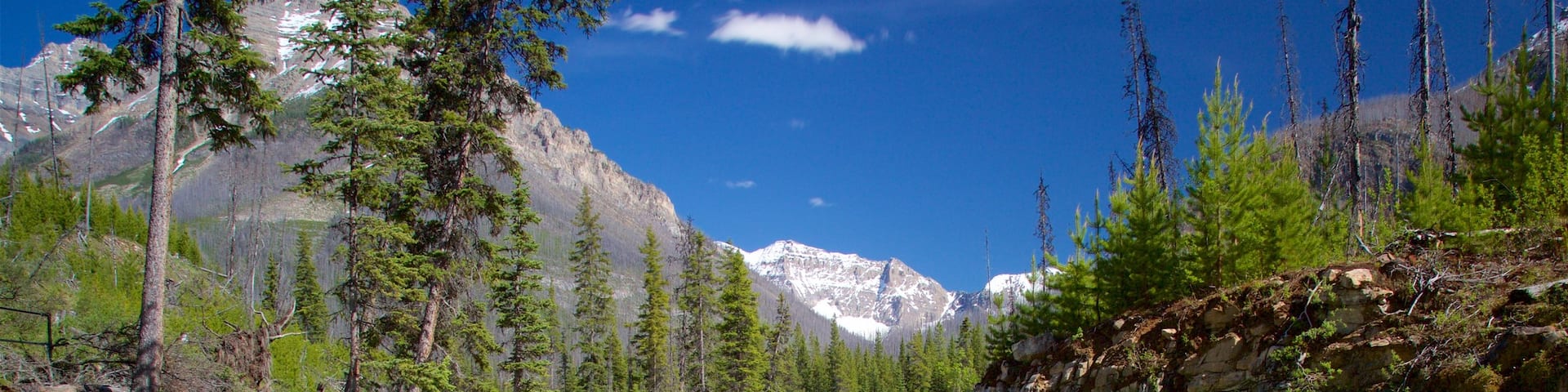 Kootenay National Park featuring a river or creek and tranquil scenes