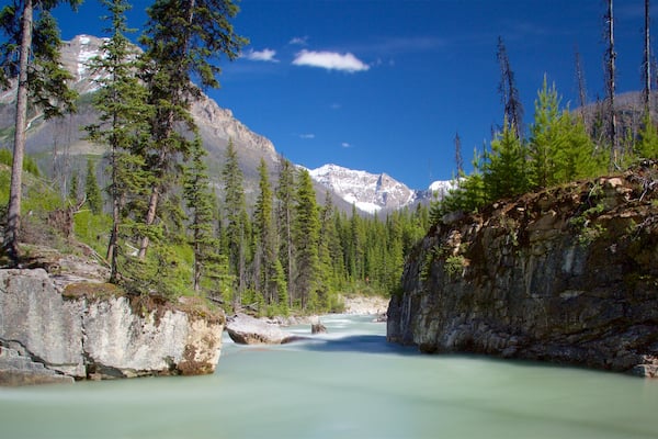 Parc national de Kootenay qui includes scĂšnes tranquilles et riviĂšre ou ruisseau
