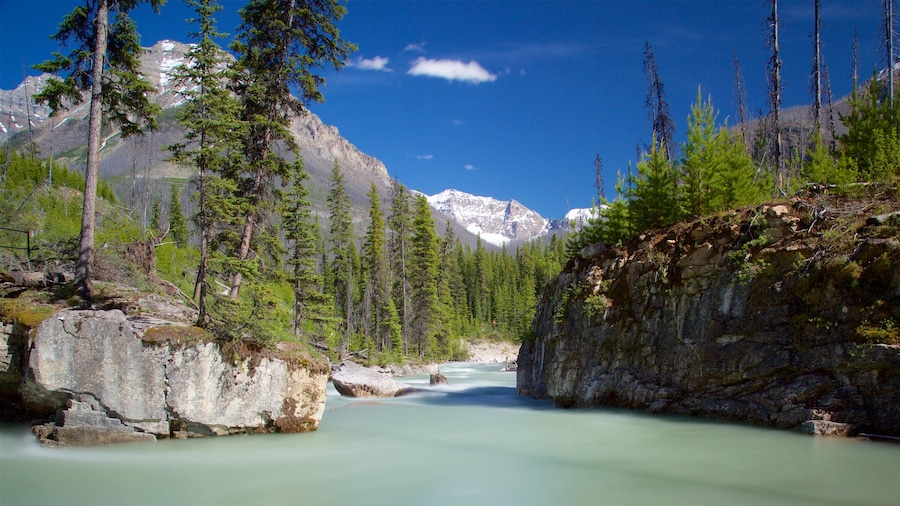 Parc national de Kootenay