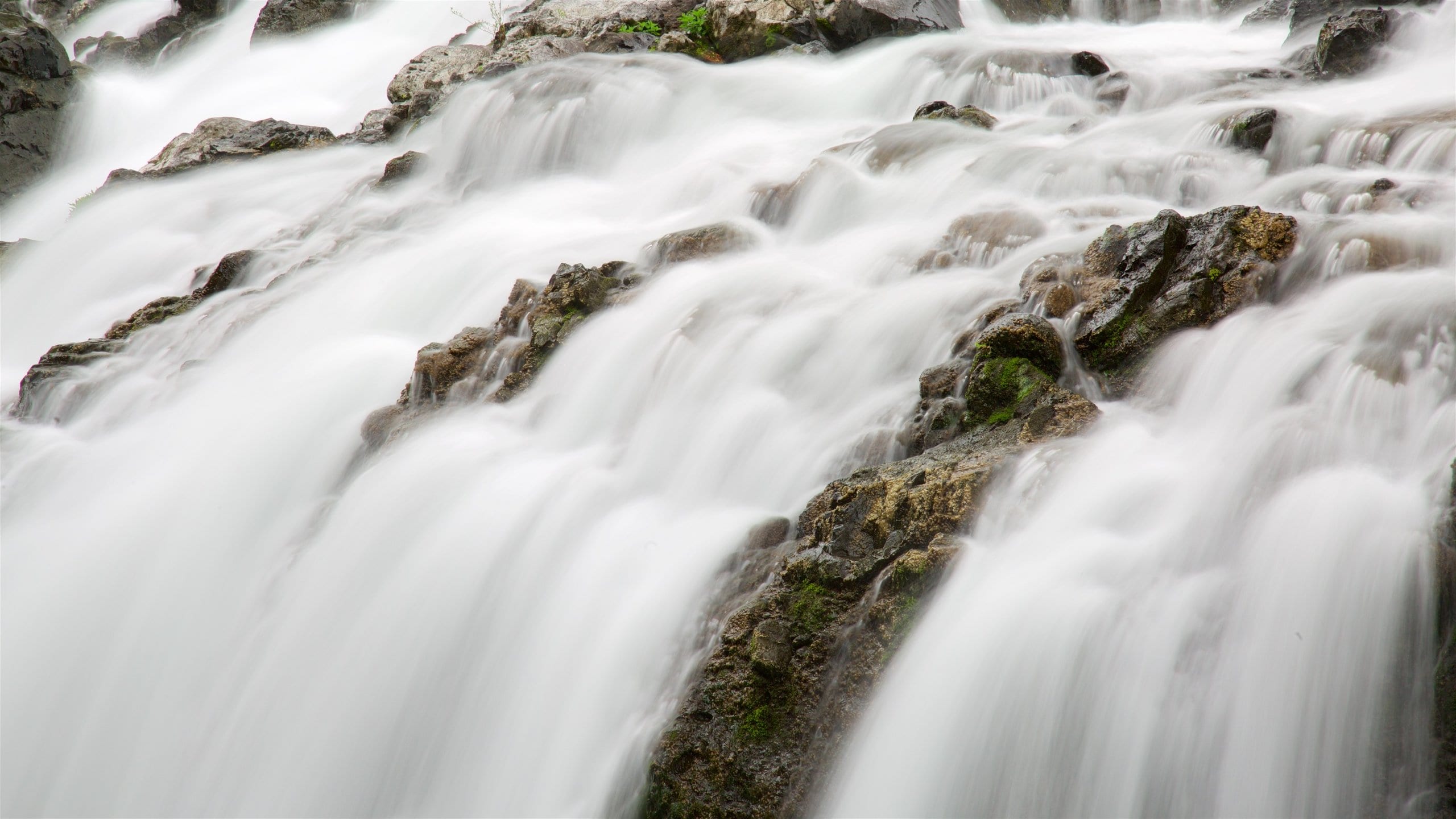 Englishman River Falls Provincial Park showing a waterfall