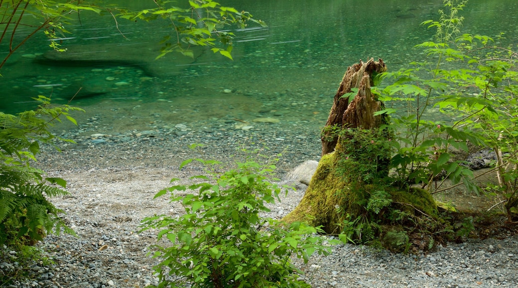 Englishman River Falls Provincial Park featuring a lake or waterhole