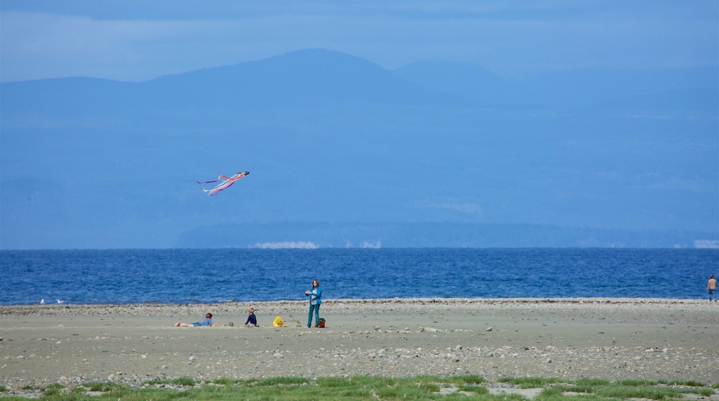 Rathtrevor Beach Provincial Park showing a sandy beach and general coastal views as well as a family