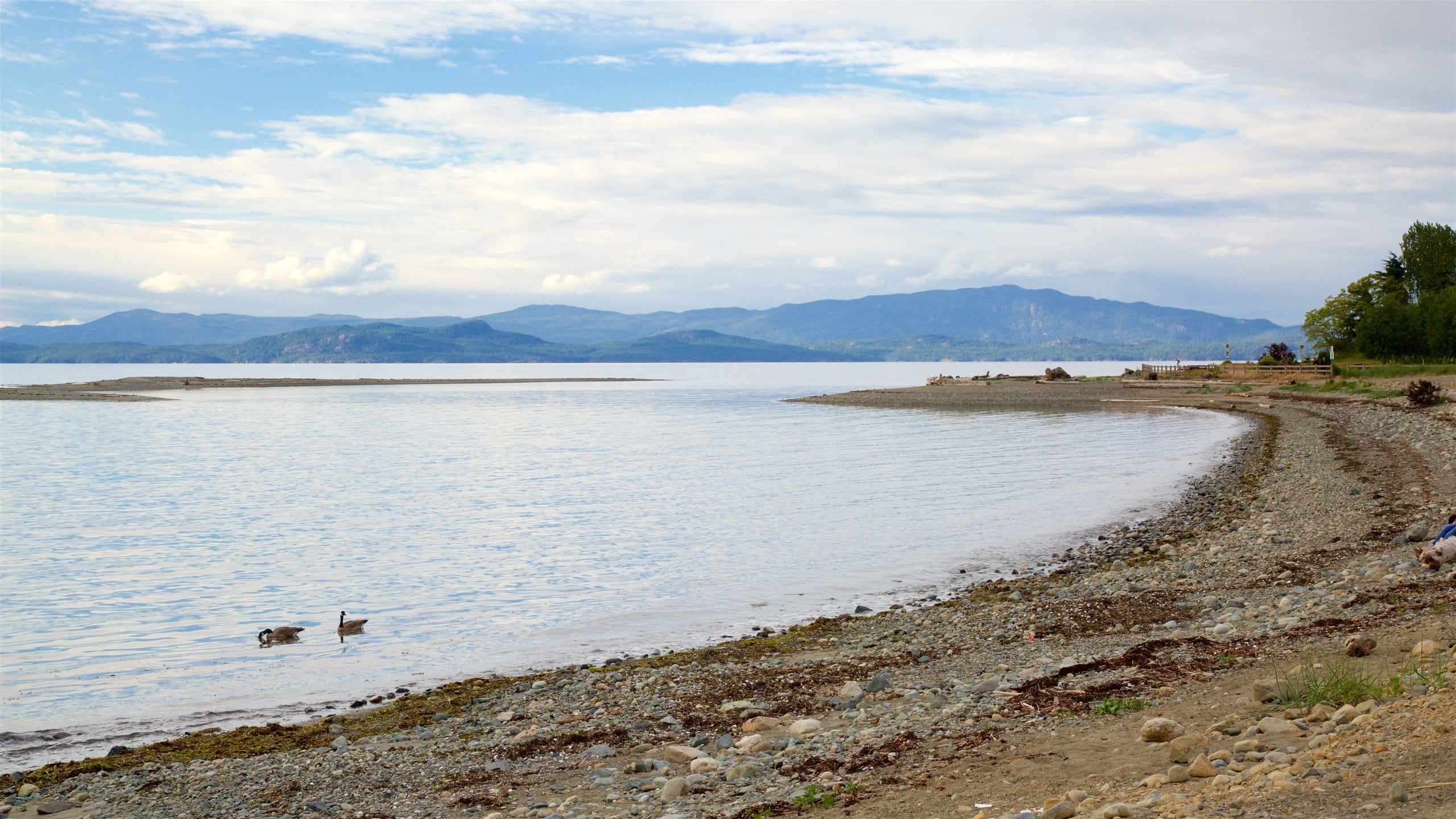 Parksville Beach Vacation Rentals house rentals & more Vrbo