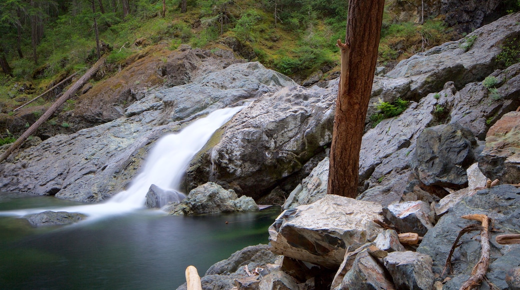 Sooke showing a river or creek