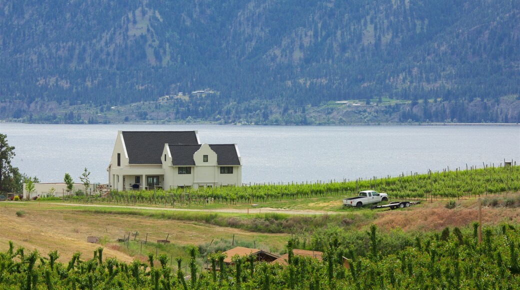 Penticton which includes a lake or waterhole, tranquil scenes and a house