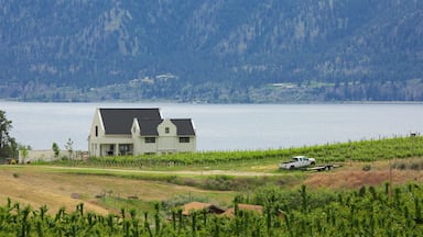 Penticton which includes a lake or waterhole, tranquil scenes and a house