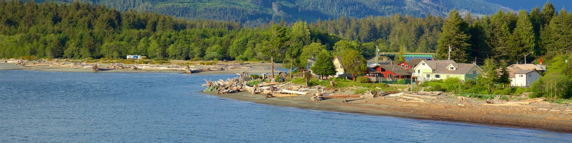 Port Renfrew mit einem ruhige Szenerie, Kleinstadt oder Dorf und Berge