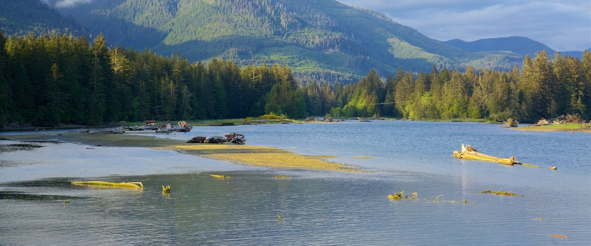 Port Renfrew featuring a lake or waterhole, tranquil scenes and mountains