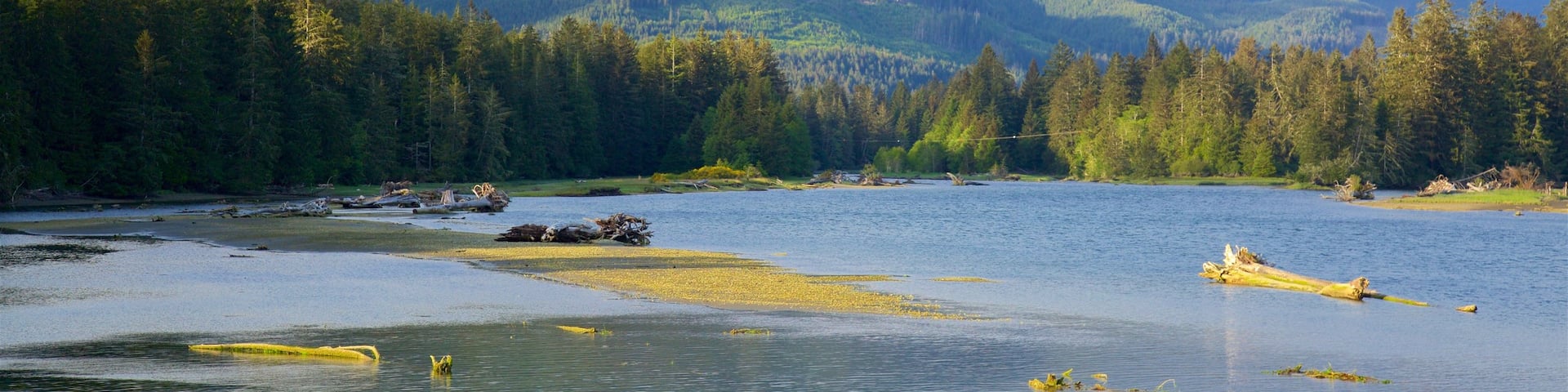 Port Renfrew featuring a lake or waterhole, tranquil scenes and mountains