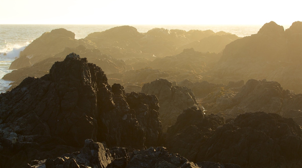 Wild Pacific Trail showing rugged coastline, a sunset and general coastal views