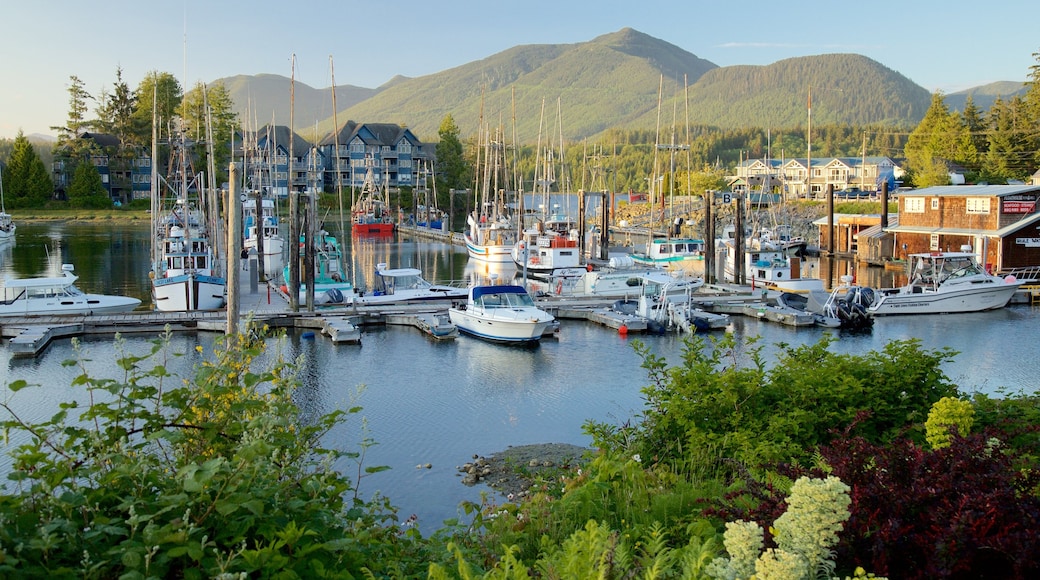 Ucluelet mettant en vedette montagnes, une baie ou un port et un coucher de soleil