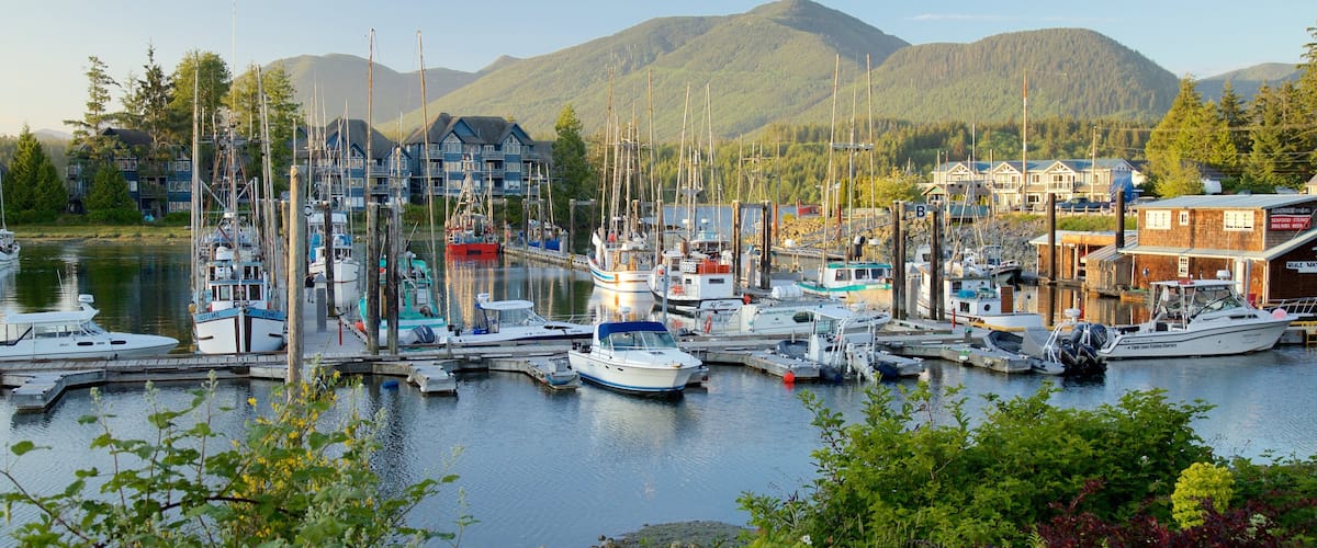Ucluelet toont een zonsondergang, een baai of haven en bergen