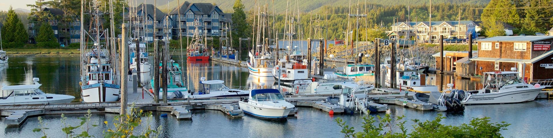 Ucluelet showing a sunset, a bay or harbor and mountains
