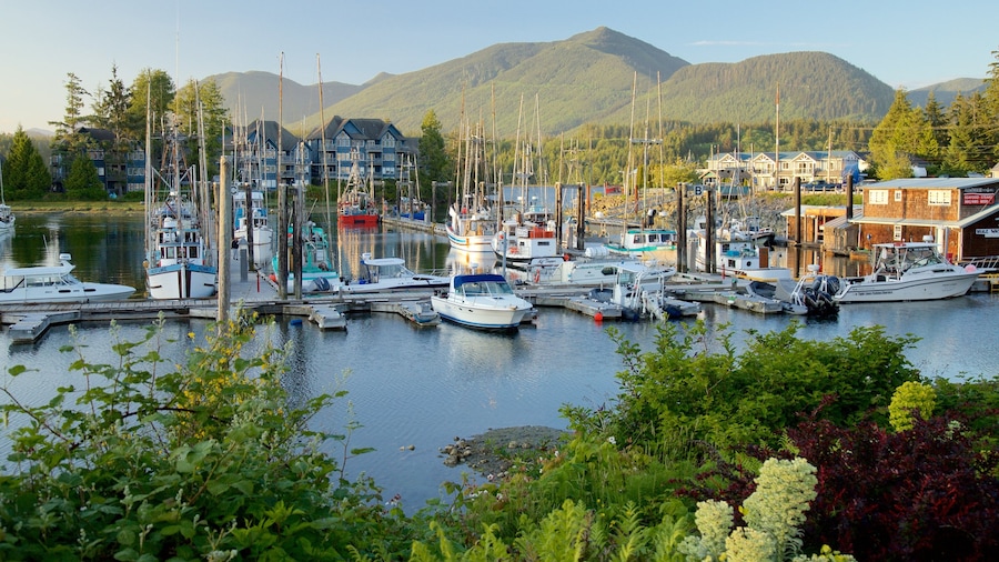 Ucluelet showing a sunset, a bay or harbor and mountains