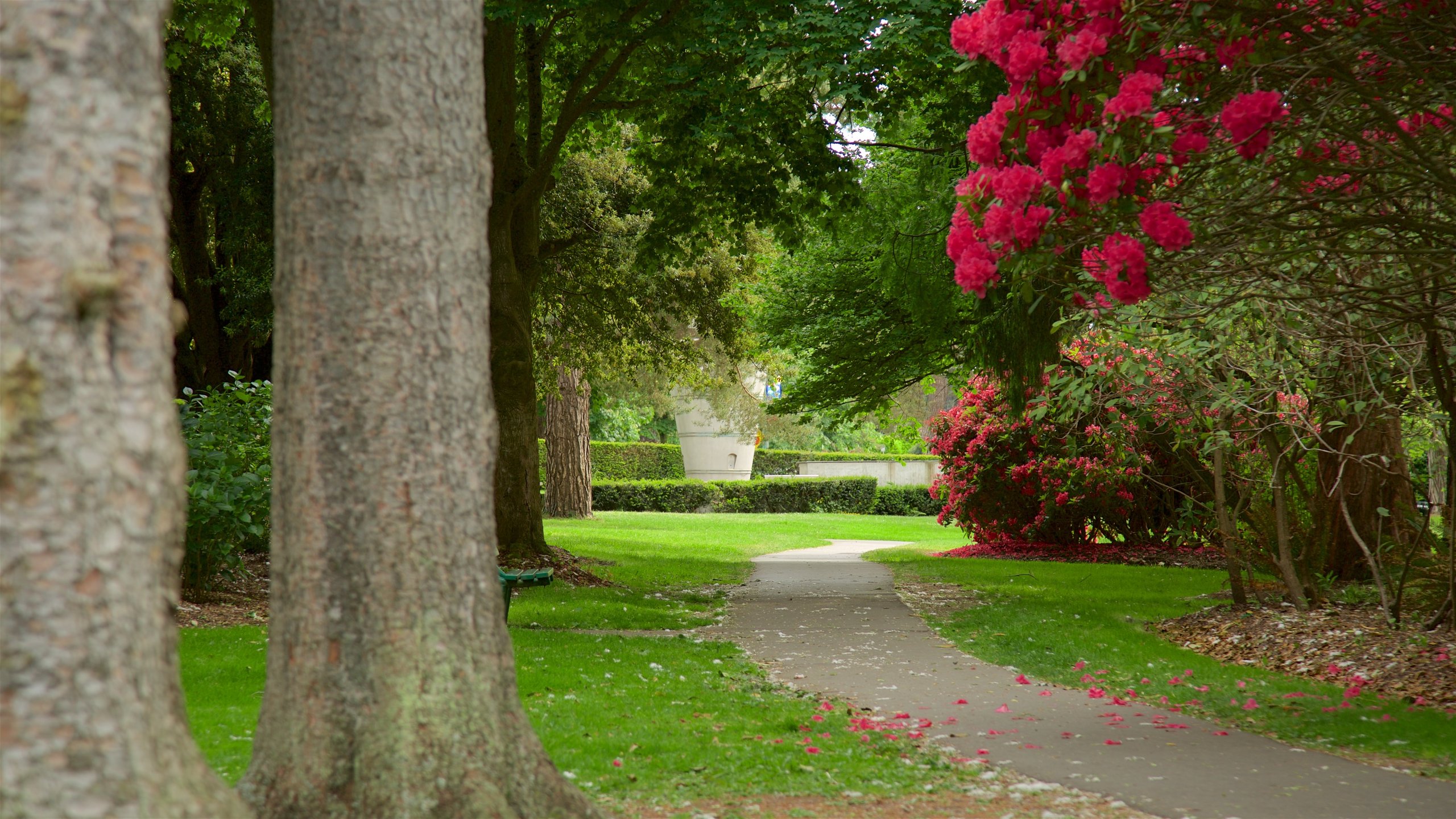 Beacon Hill Park featuring wildflowers and a park