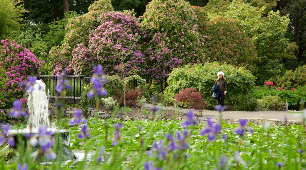 Beacon Hill Park showing a fountain, wild flowers and a garden