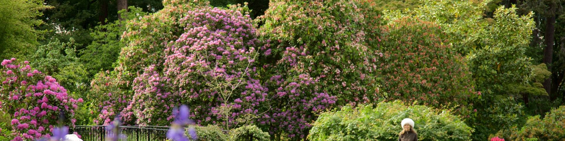 Beacon Hill Park which includes a pond, wild flowers and a park