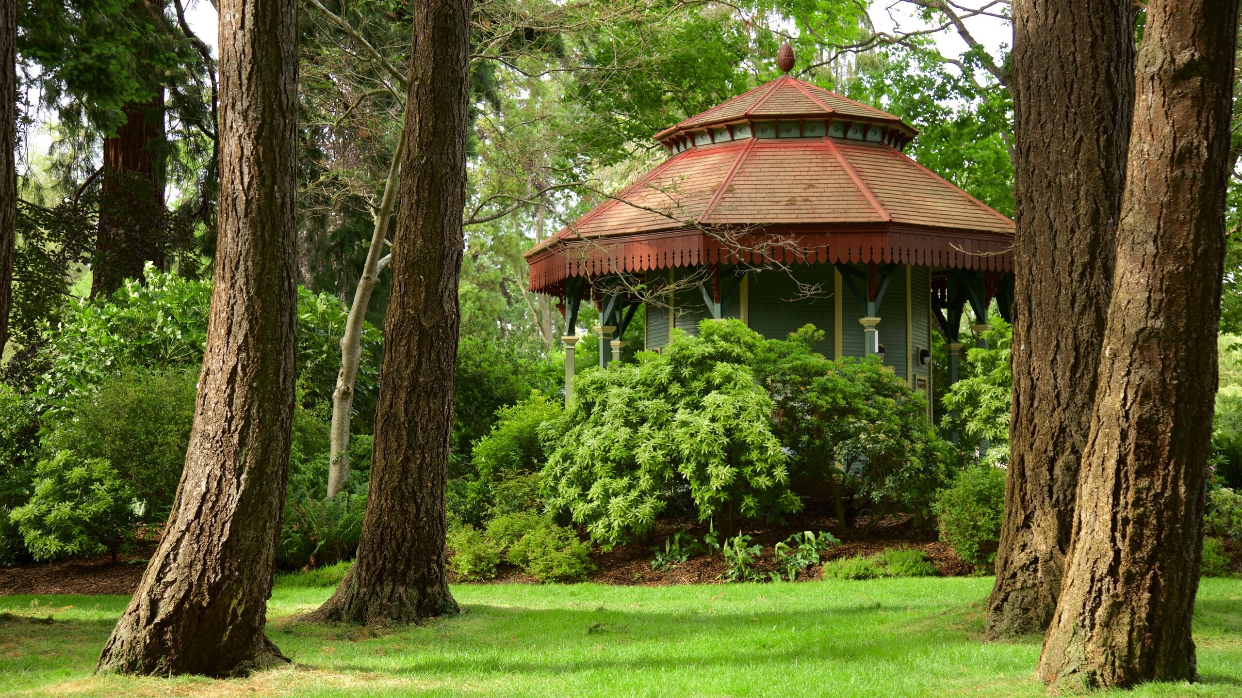 Things To Do in Beacon Hill Park - EMR Vacation Rentals