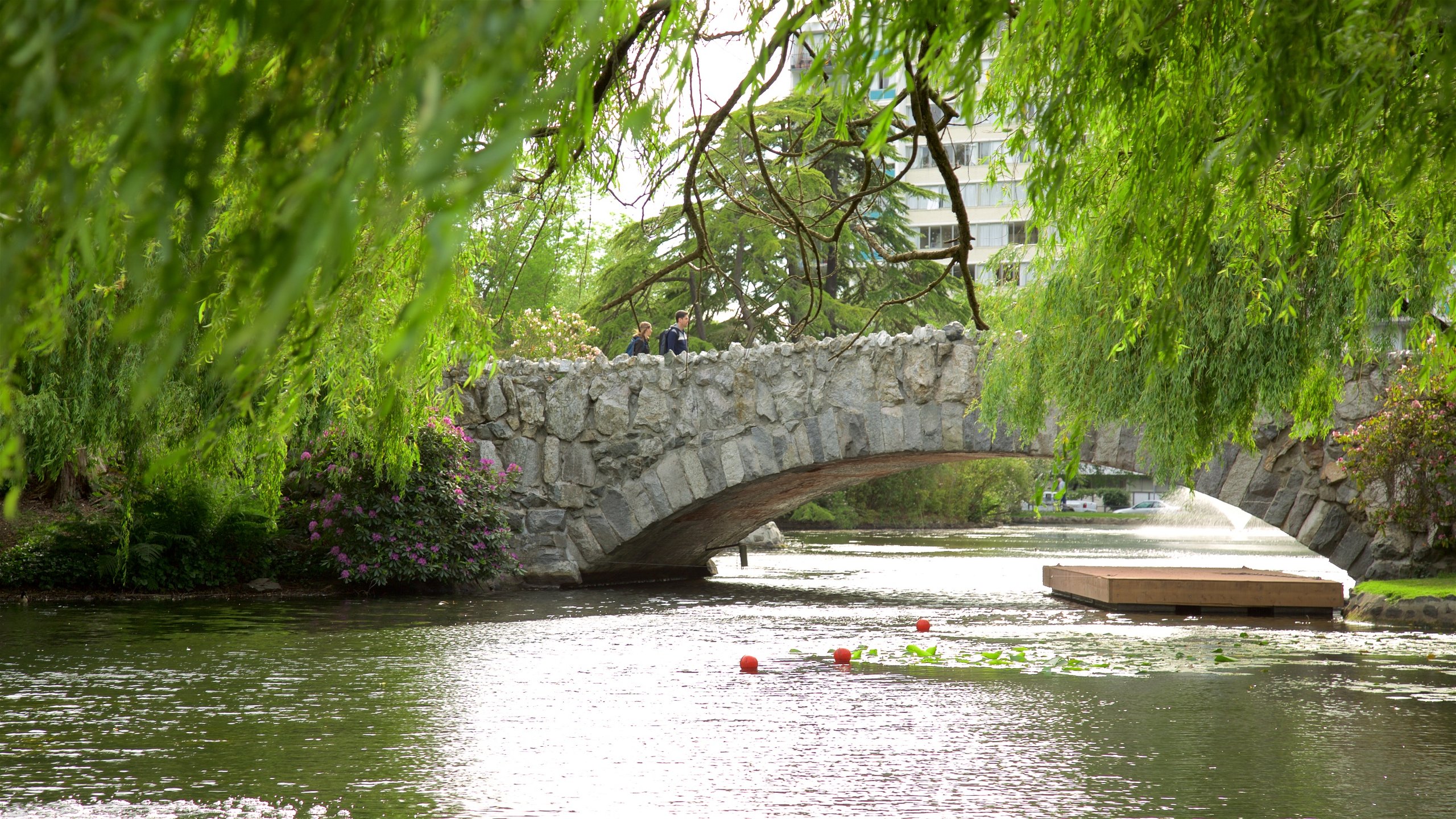 Beacon Hill Park featuring a river or creek and a bridge