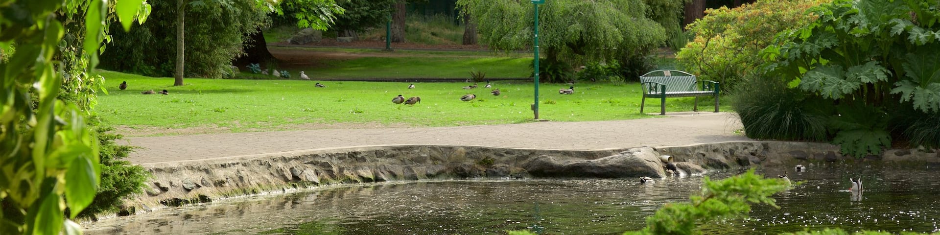 Beacon Hill Park showing a garden and a pond