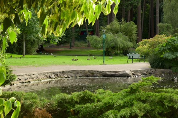 Beacon Hill Park welches beinhaltet Garten und Teich