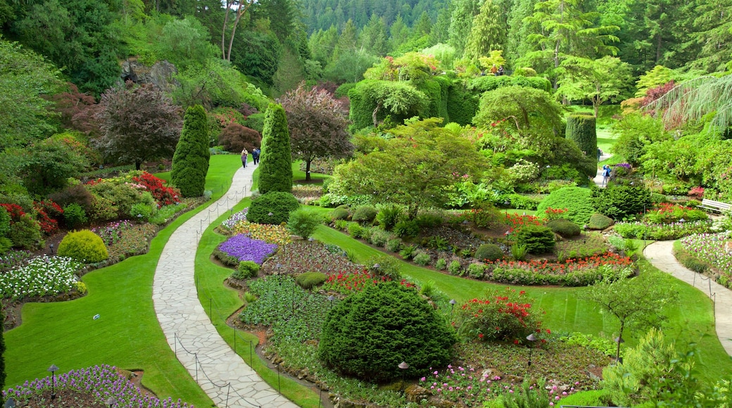 Butchart Gardens que inclui flores e um parque