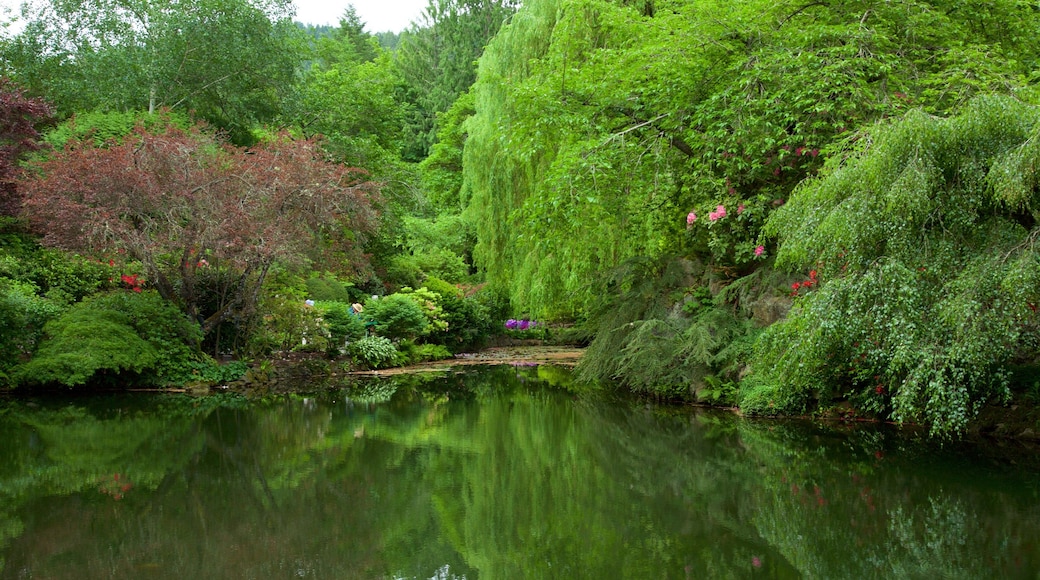 Butchart Gardens montrant mare et parc