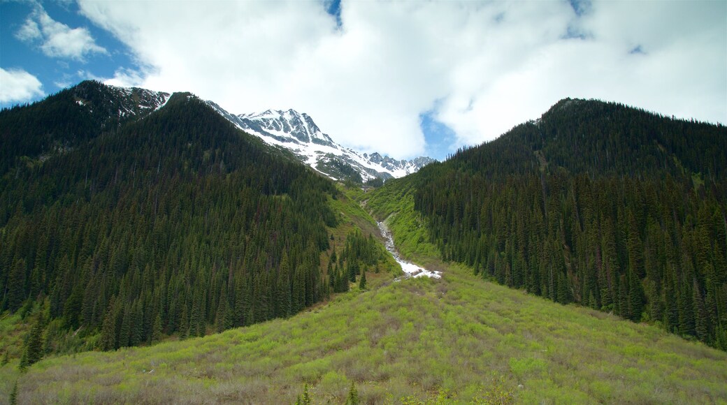 Purcell Wilderness Conservancy Provincial Park