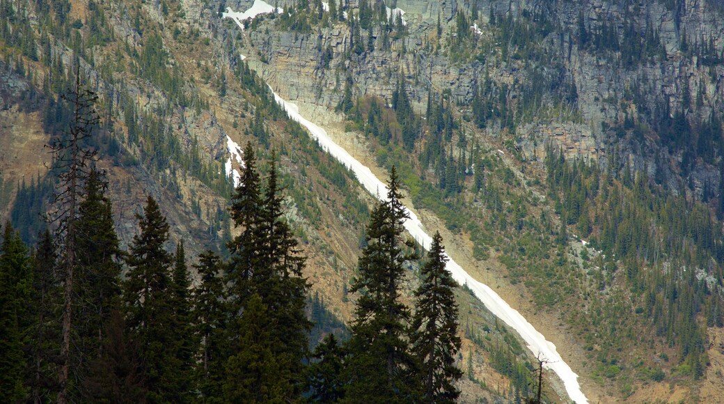 Purcell Wilderness Conservancy Provincial Park