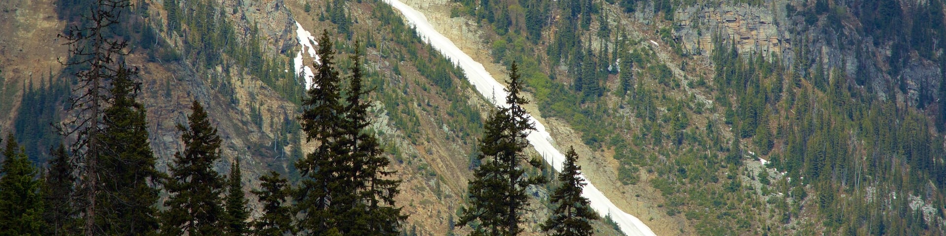 Kootenay Rockies featuring mountains and a river or creek