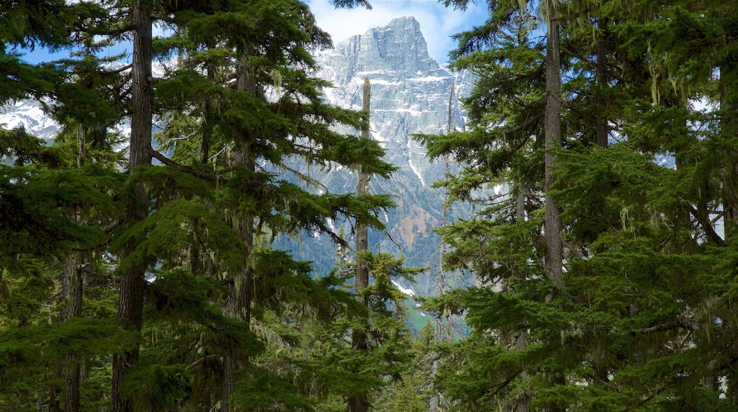 Glacier National Park which includes mountains