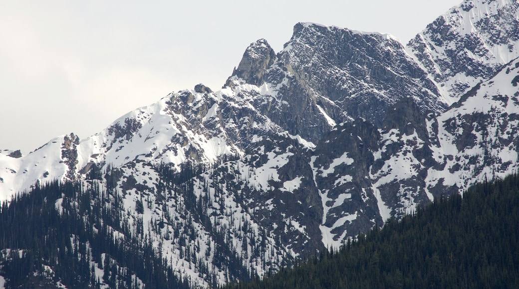 Glacier National Park which includes snow and mountains