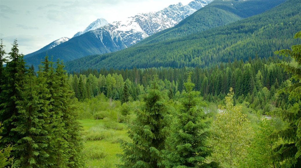 Glacier National Park featuring mountains and tranquil scenes