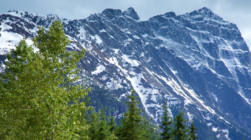 Nationaal park Glacier bevat bergen en sneeuw