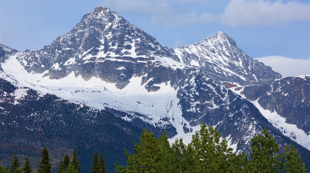 Parc national Glacier qui includes neige, scĂšnes tranquilles et montagnes