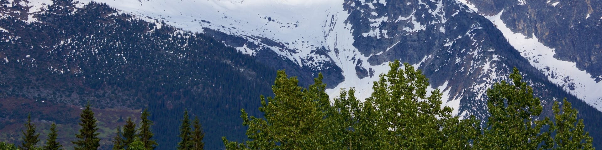 Glacier National Park showing tranquil scenes, mountains and snow