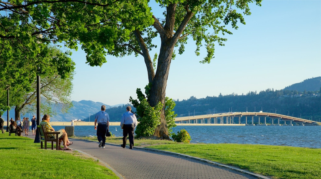 City Park showing a bridge, hiking or walking and a river or creek