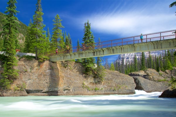 Yoho National Park showing a bridge and a river or creek