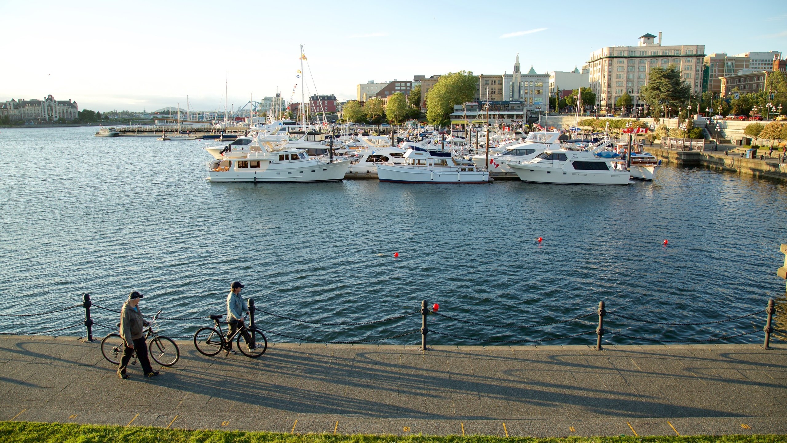 Inner Harbour