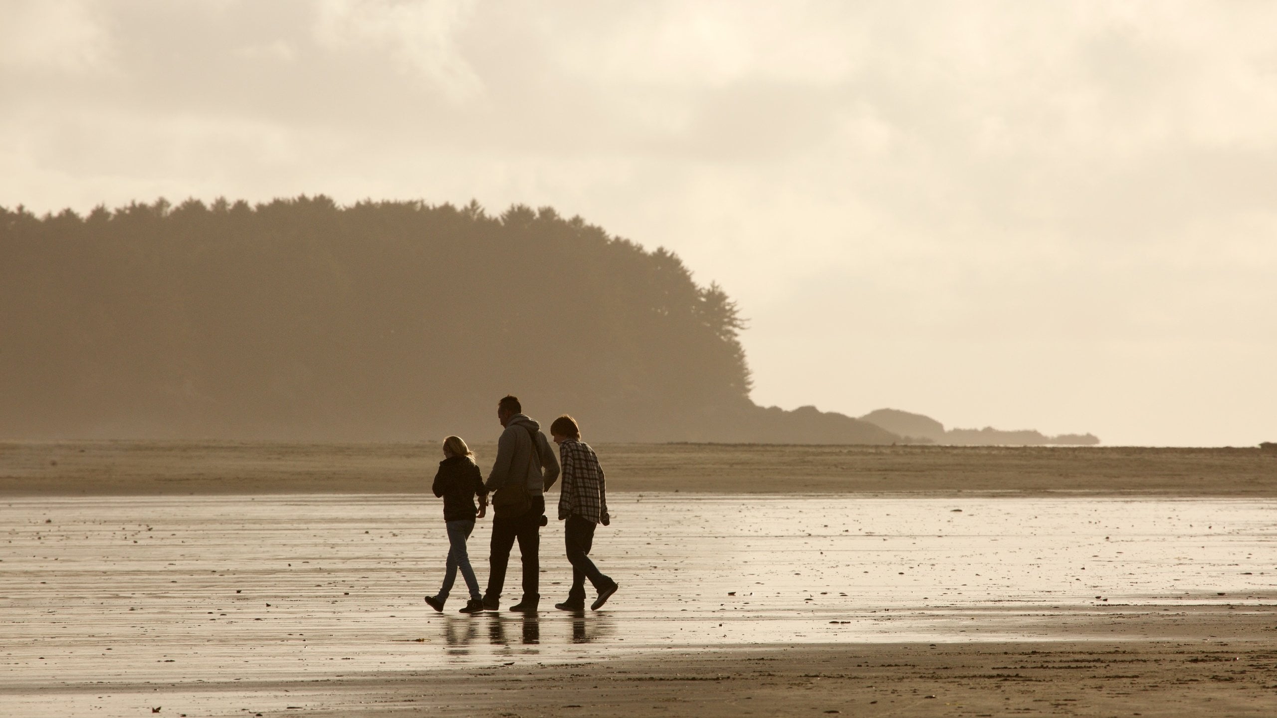 切斯特曼海灘 其中包括 綜覽海岸風景 和 夕陽 以及 一小群人
