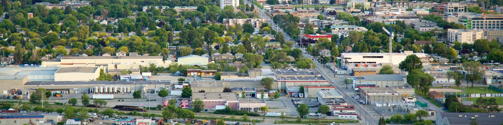Knox Mountain Park showing a river or creek and a city