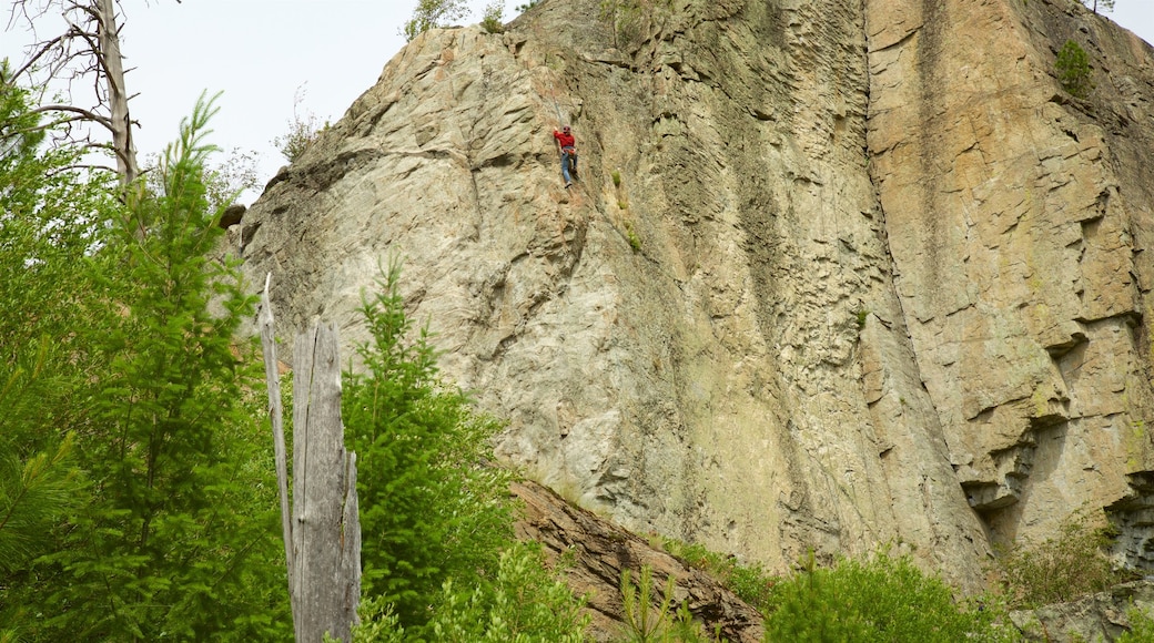 Parque provincial Skaha Bluffs ofreciendo alpinismo y montañas