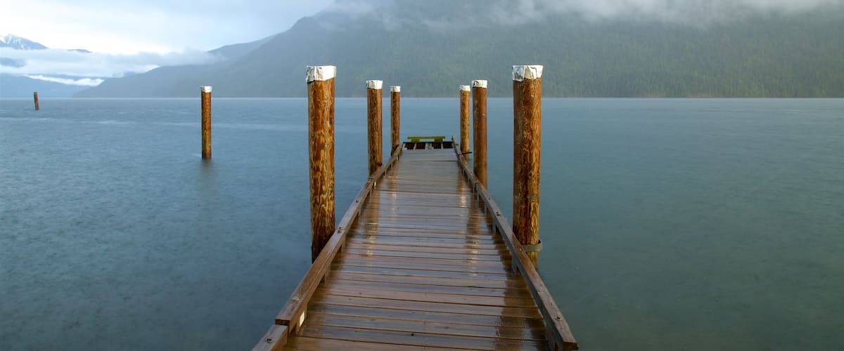 New Denver showing a lake or waterhole, mist or fog and tranquil scenes