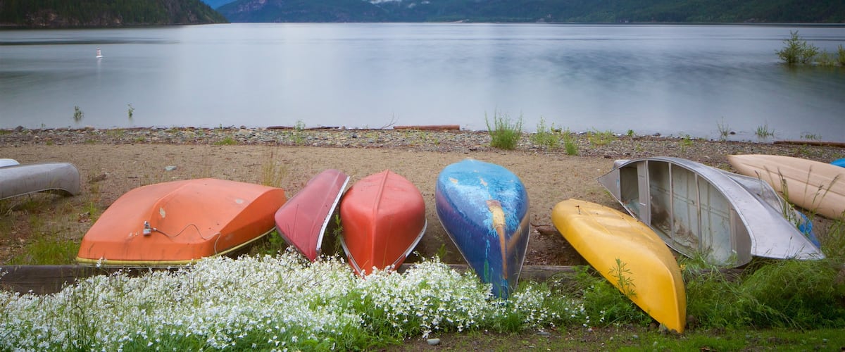 Kaslo qui includes lac ou étang
