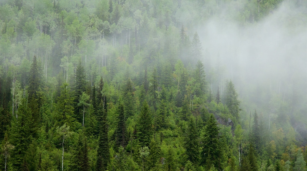 Kaslo which includes tranquil scenes and mist or fog