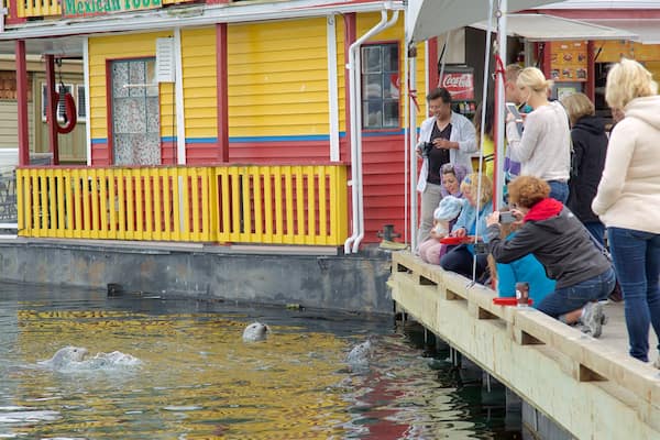 Fisherman\'s Wharf Park montrant vie marine aussi bien que petit groupe de personnes