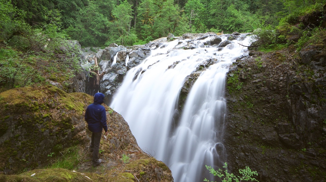 Englishman River Falls Provincial Park caratteristiche di cascate e foresta cosi come ragazzo