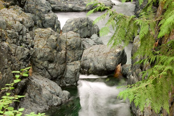 Parc provincial Englishman River Falls mettant en vedette rivière ou ruisseau